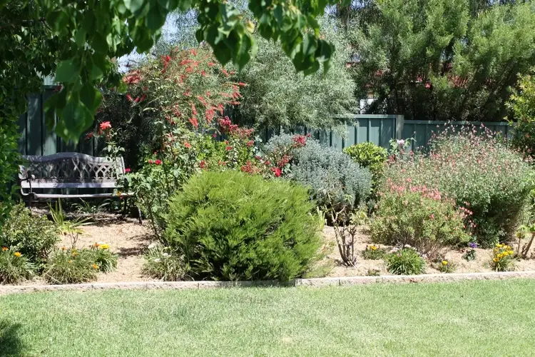 Second view of Homely house listing, 43 Wynella Street, Gulgong NSW 2852