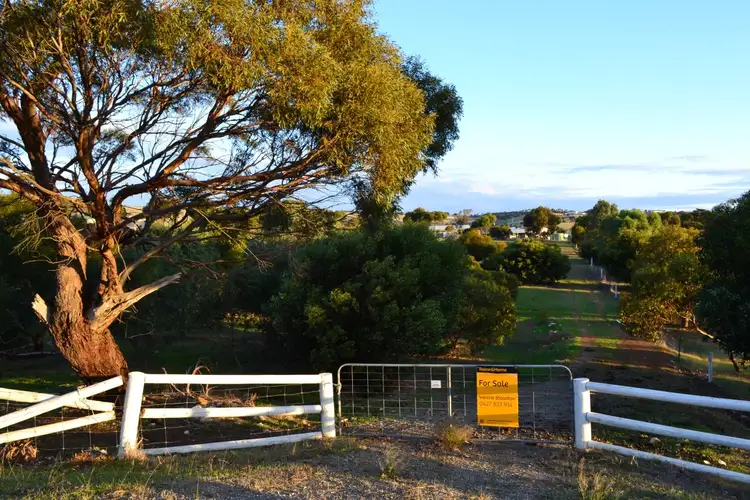 40-42 Bronze Wing Drive, Boston SA 5607