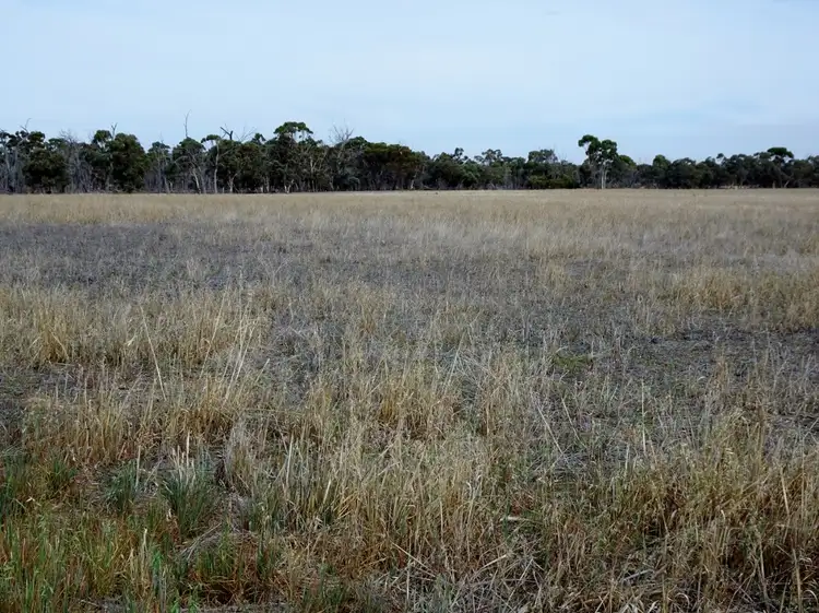Seventh view of Homely rural property listing, Lot 3339 Bunmulling Rd, Popanyinning WA 6309