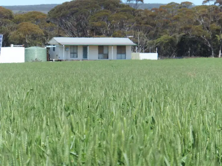 Fourth view of Homely land listing, Lot 1393 South Coast Highway, Ravensthorpe WA 6346