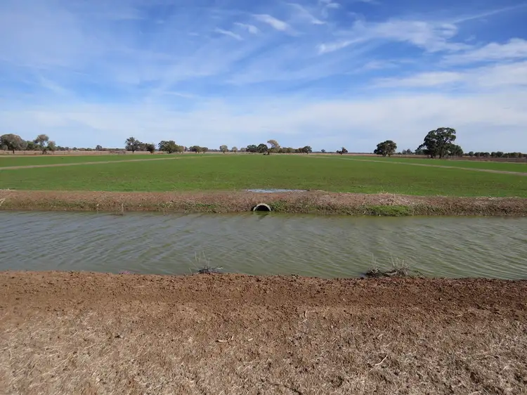 Fifth view of Homely rural property listing, "Bungaree" Flanagans Lane, Deniliquin NSW 2710