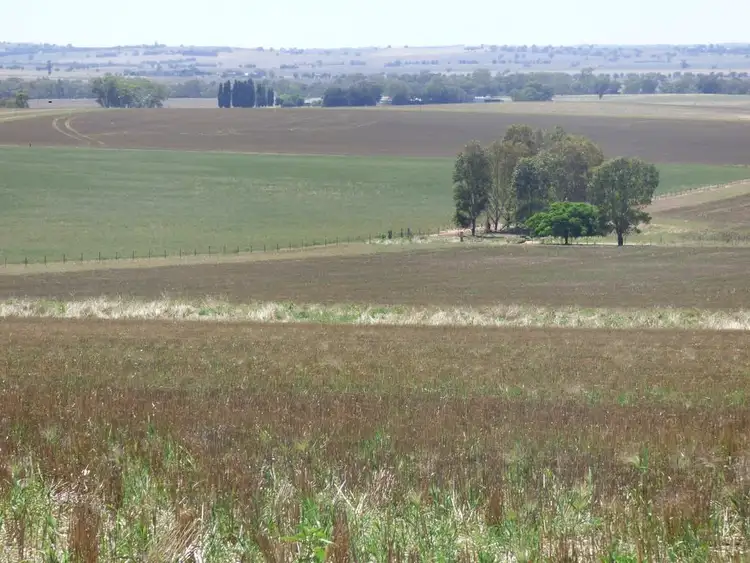 Second view of Homely rural property listing, 135 NEWMANS LANE, Grenfell NSW 2810