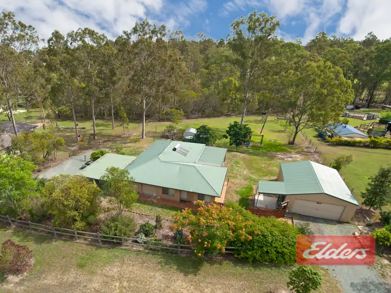 Main view of Homely house listing, 127 Peppertree Drive, Jimboomba QLD 4280