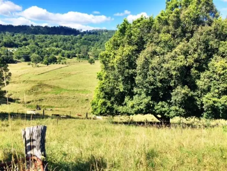 Seventh view of Homely rural property listing, 48 Kirkland Road, Nimbin NSW 2480