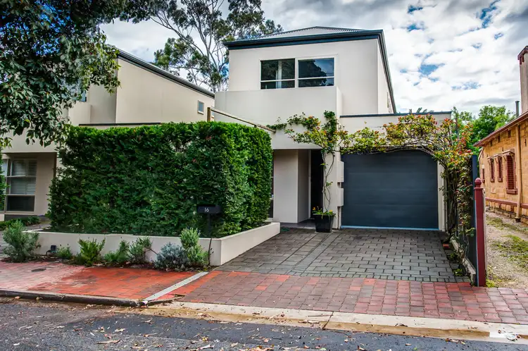 16 Olive Street, Parkside SA 5063