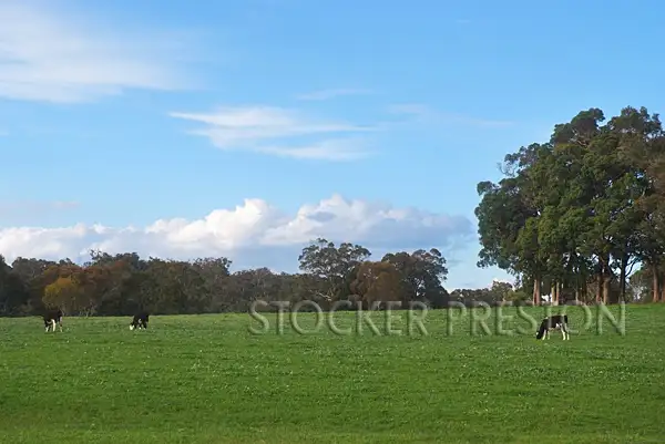 Fourth view of Homely rural property listing, 13 Mitchell Road, Rosa Brook, Margaret River WA 6285