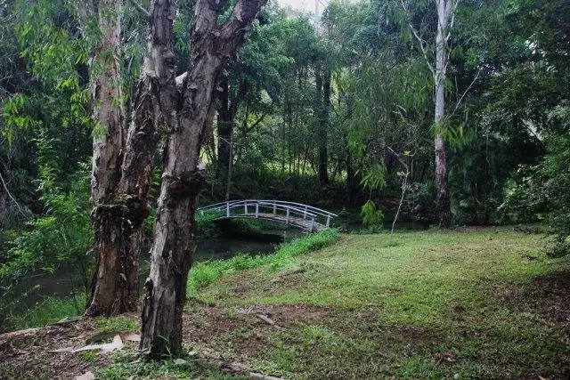 Fourth view of Homely house listing, 22 Ward Street, Eumundi QLD 4562