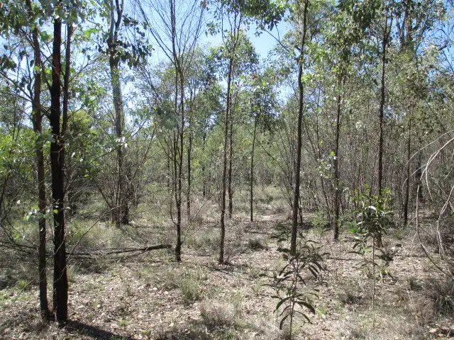 Third view of Homely rural property listing, LOT 358 DAYBREAK ROAD, Tara QLD 4421