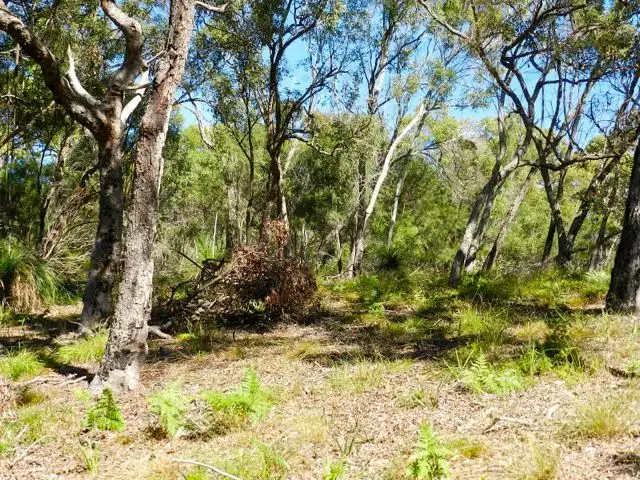 Sixth view of Homely land listing, Lot 7 Springs Rd Sunrise, Agnes Water QLD 4677