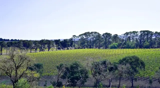 Fourth view of Homely rural property listing, 53 Madden Road, Bannockburn VIC 3331