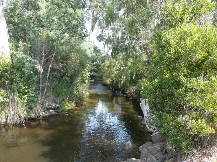 Third view of Homely rural property listing, 1059 Maroondah Highway, Narbethong VIC 3778
