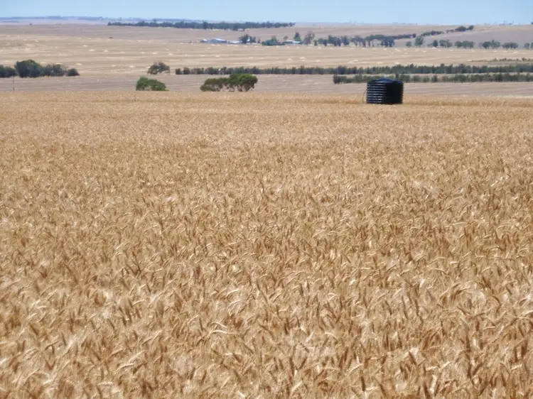 Second view of Homely rural property listing, 866 Ejanding West Rd, Dowerin WA 6461