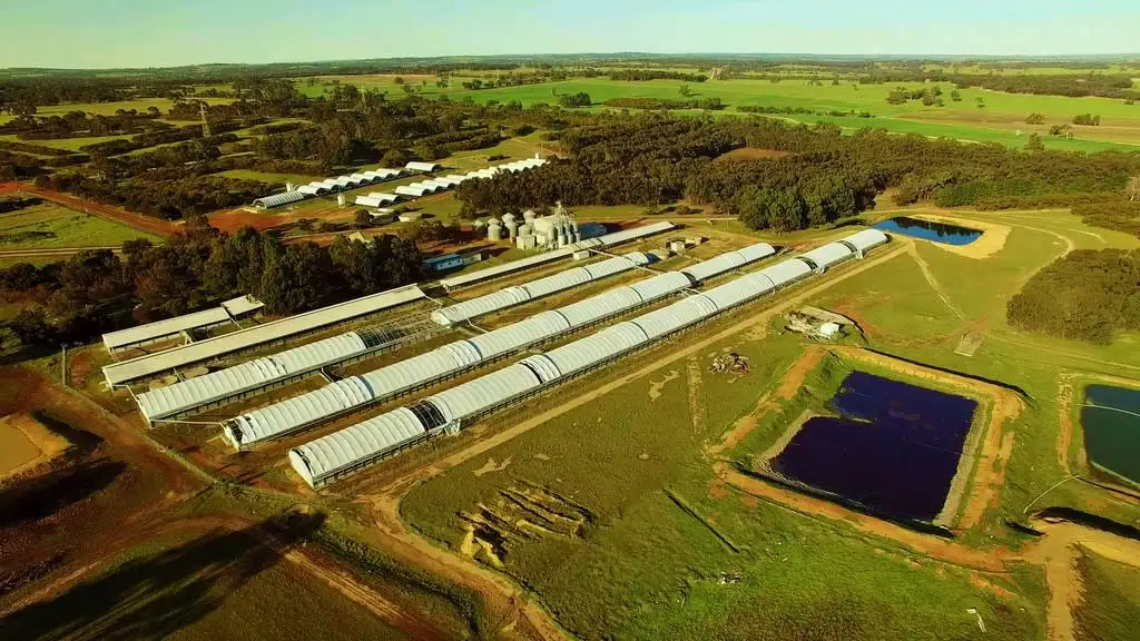 Main view of Homely rural property listing, Narrogin Piggery, 394 Narrakine Rd, Narrogin WA 6312