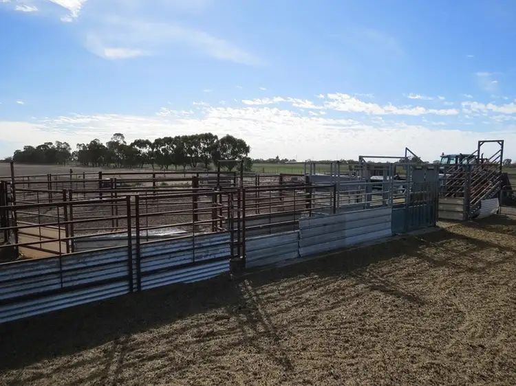 Fourth view of Homely rural property listing, "Bungaree" Flanagans Lane, Deniliquin NSW 2710