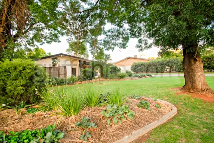 60 Ledgerwood Street, Griffith NSW 2680