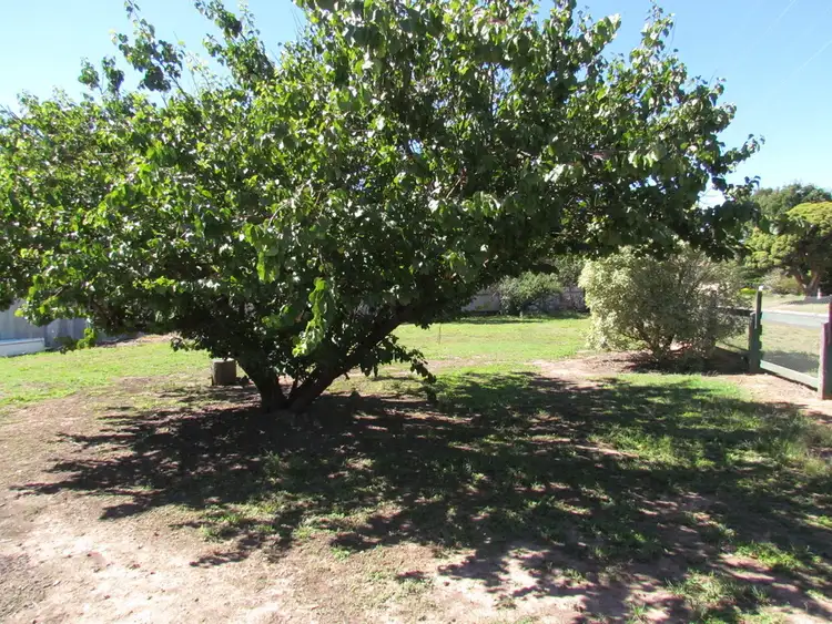 Fourth view of Homely house listing, 9 Melbourne Road, Yea VIC 3717