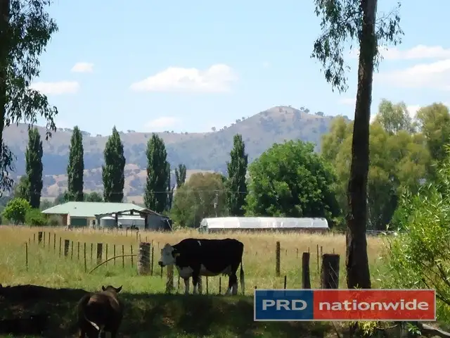 Fifth view of Homely rural property listing, 42 Lacmalac Road, Tumut NSW 2720