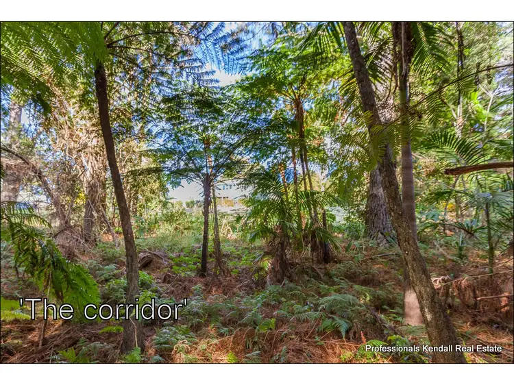 Third view of Homely land listing, 12 Demavend Drive, Tamborine Mountain QLD 4272