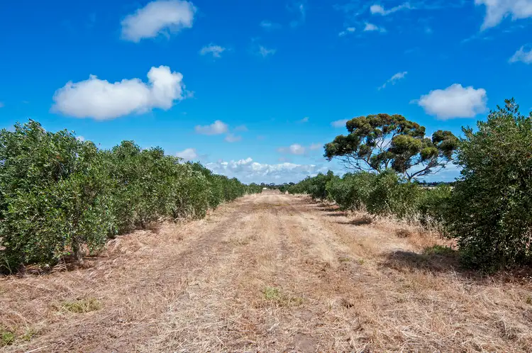 Fourth view of Homely land listing, Lot 12 Coats Road, Two Wells SA 5501