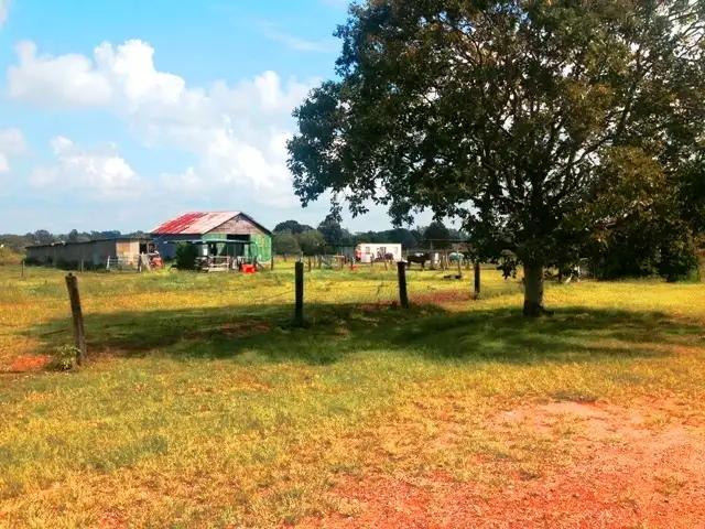 Main view of Homely house listing, 164 Old Fernvale Rd, Fernvale QLD 4306