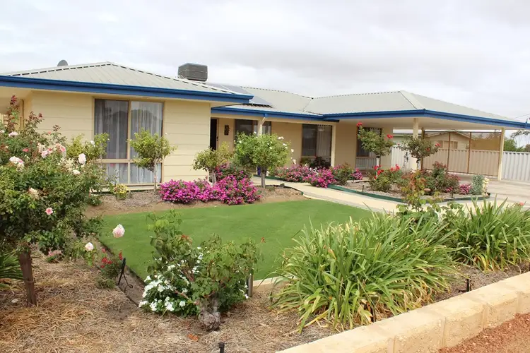 29 Shields Cresc, Wongan Hills WA 6603