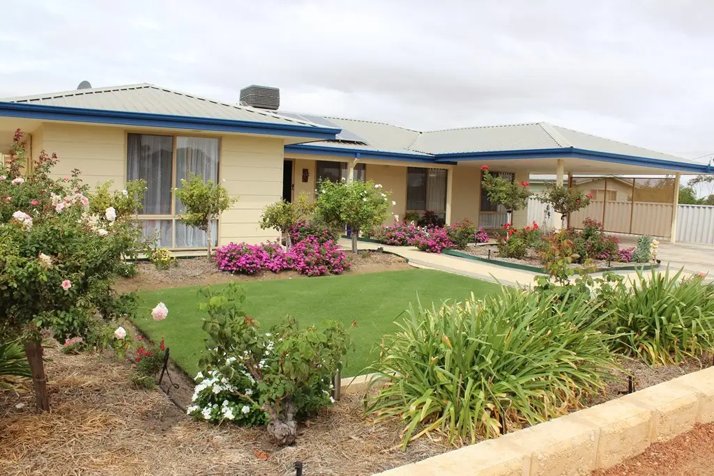 Main view of Homely house listing, 29 Shields Cresc, Wongan Hills WA 6603