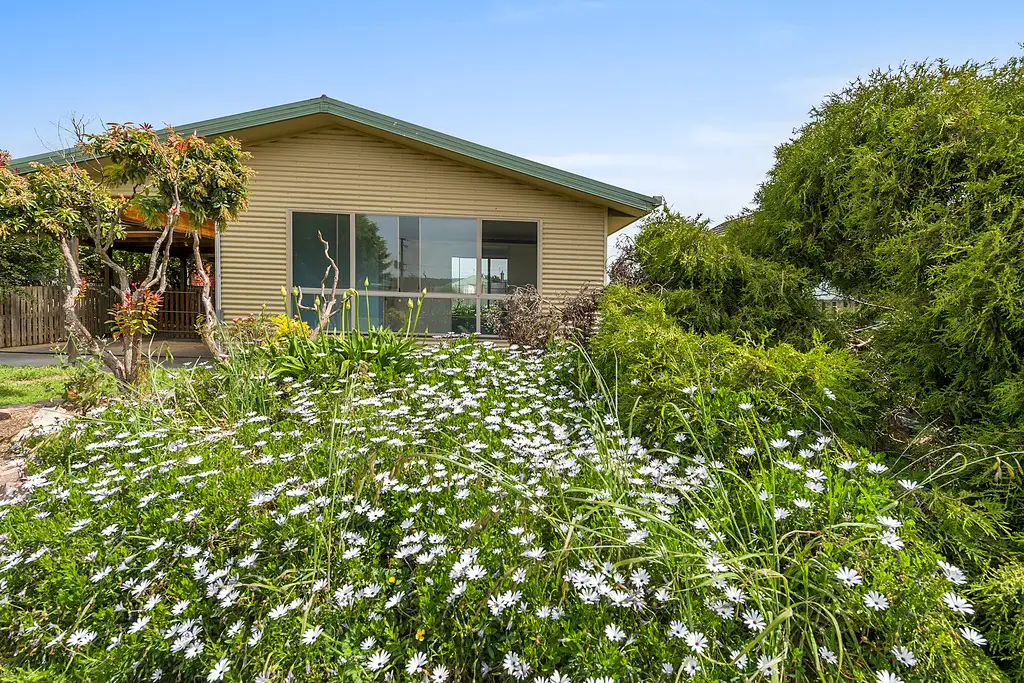 Main view of Homely house listing, 51 Cotton Street, Latrobe TAS 7307