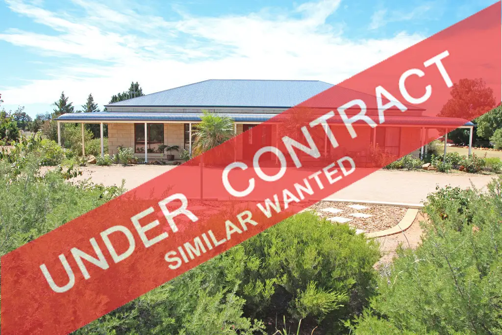 Main view of Homely house listing, 51 Riverview Drive, Paringa SA 5340