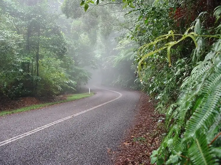 Second view of Homely land listing, Lot 13 Forest Creek Road FOREST CREEK, Daintree QLD 4873