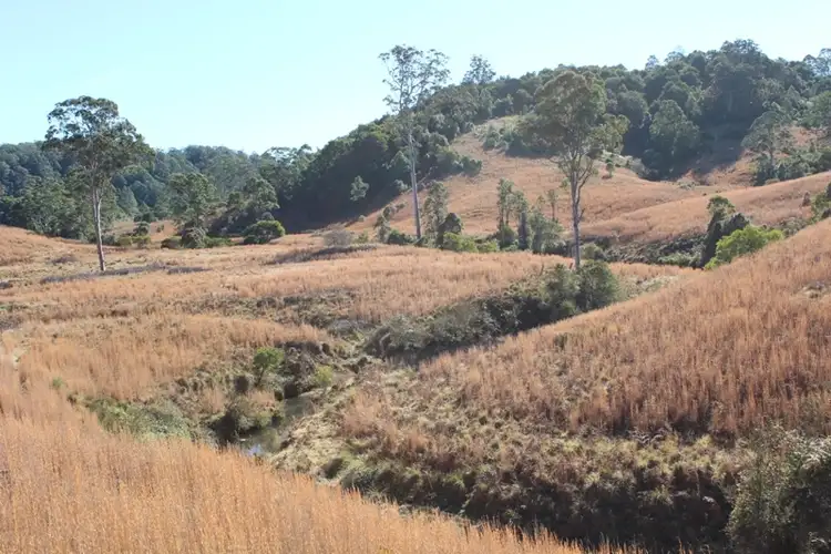 Sixth view of Homely rural property listing, 207 Tilbaroo Road, Elands NSW 2429