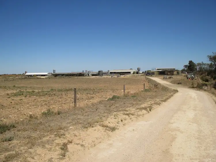 Fifth view of Homely rural property listing, 481 Jarvis Rd, Jervois SA 5259