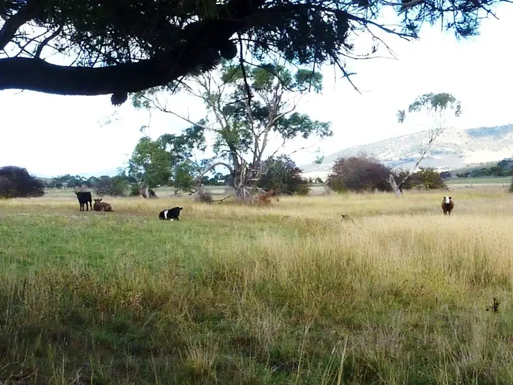 Fifth view of Homely rural property listing, 2981 Tasman Highway, Orielton TAS 7172