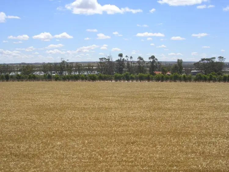 Seventh view of Homely rural property listing, 664 OLD KOORDA RD, Dowerin WA 6461