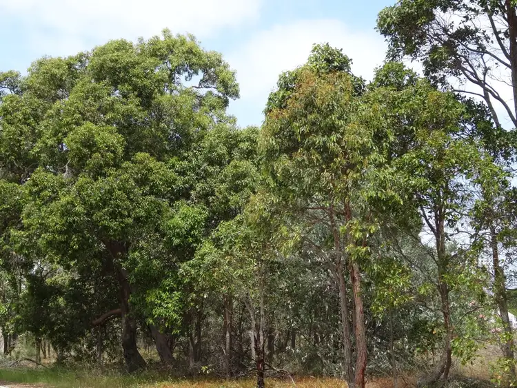 Fourth view of Homely land listing, 8C Hutton Road, Capel WA 6271