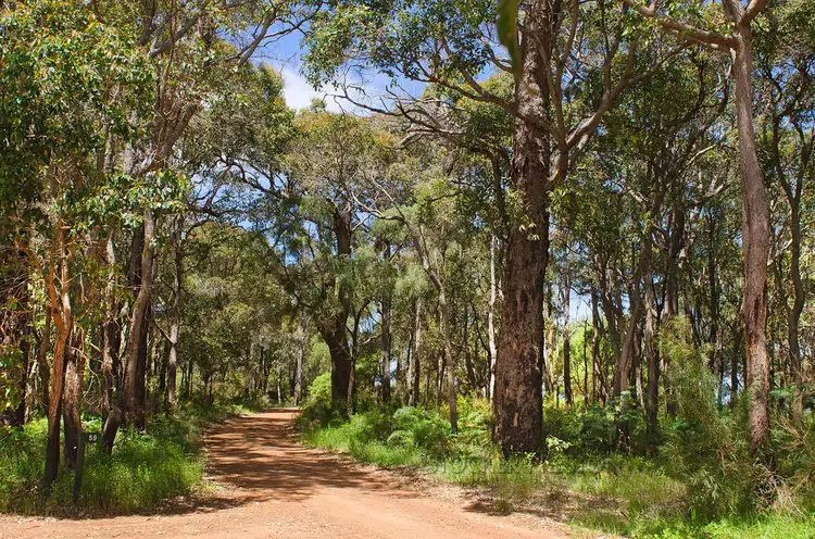 50 Latch Road, Karridale WA 6288