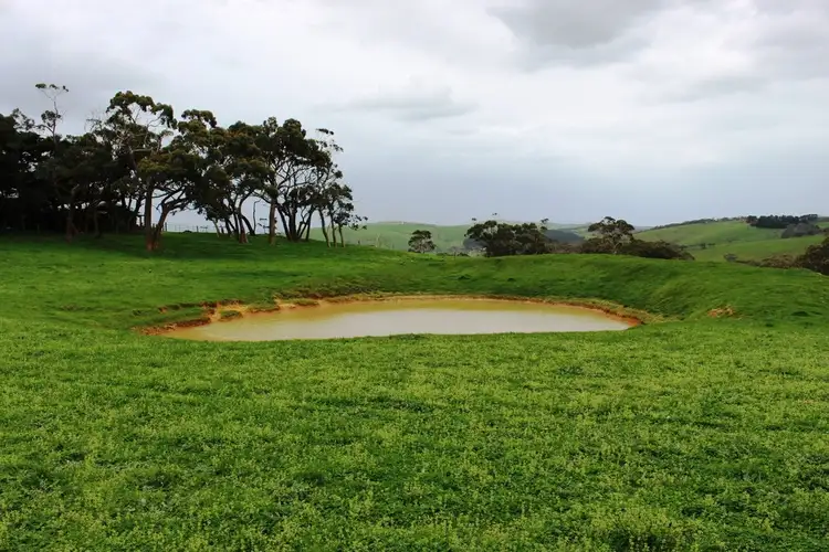 Fourth view of Homely rural property listing, Allotment 4 9058 Main South Rd, Delamere SA 5204
