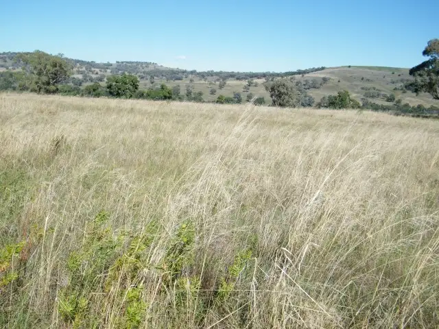 Sixth view of Homely rural property listing, 8 Raphie Howard Drive, Willow Tree NSW 2339