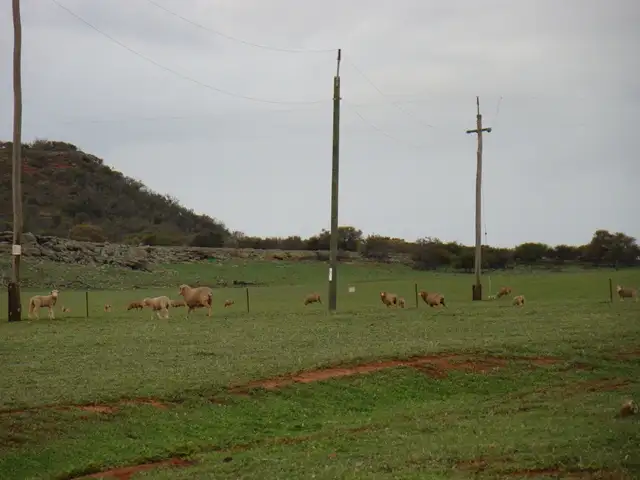 Fifth view of Homely rural property listing, Lot 2 Murphy-Yetna Road, Nanson WA 6532