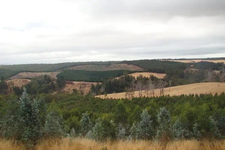 Fourth view of Homely land listing, 2 Quagamirup Rd, Bridgetown WA 6255