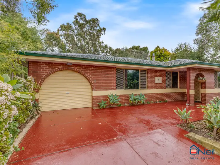 Main view of Homely house listing, 8 Adonis Street, Mundijong WA 6123
