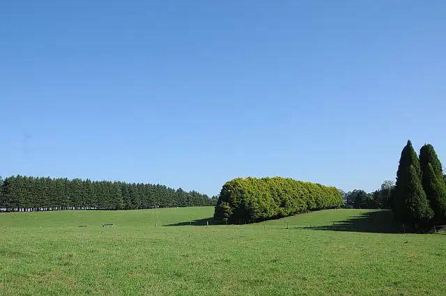 Main view of Homely rural property listing, Lots 1 + 2 Illawarra Highway, Burrawang NSW 2577