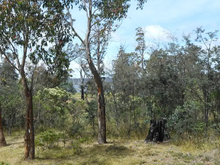 Second view of Homely land listing, 21 Laycock Drive, Interlaken TAS 7030