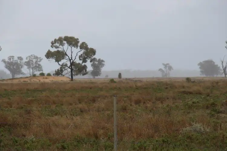 Fourth view of Homely rural property listing, Lot 10 Mooroobie Lane, Goondiwindi QLD 4390