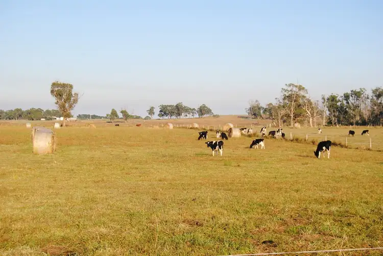 Second view of Homely rural property listing, 115 Lang Lang Poowong Road, Nyora VIC 3987