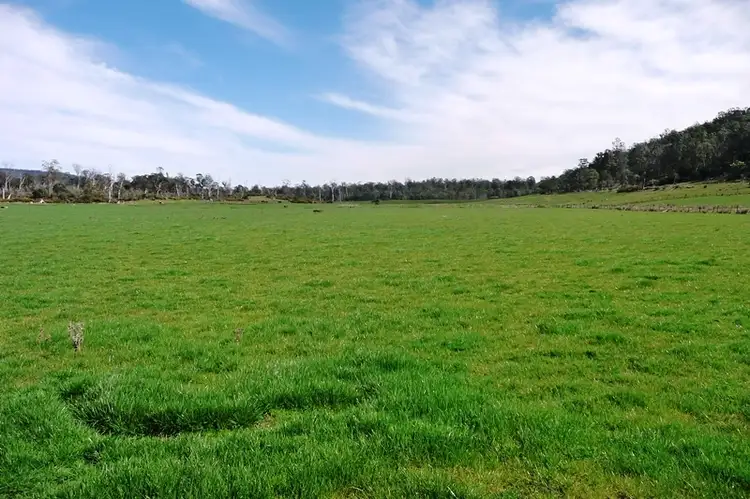 89 Lindsays Road, Whitemore TAS 7303