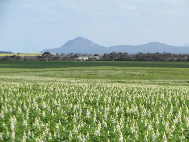 Lot 153 Hopetoun-Ravensthorpe Rd, Hopetoun WA 6348