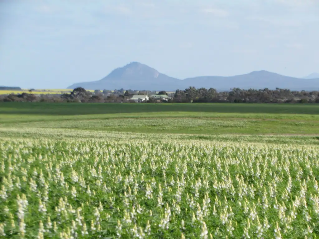 Main view of Homely rural property listing, Lot 153 Hopetoun-Ravensthorpe Rd, Hopetoun WA 6348