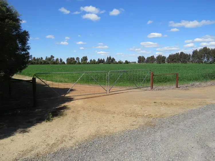 Fifth view of Homely rural property listing, 21380 Riverina Highway, Deniliquin NSW 2710