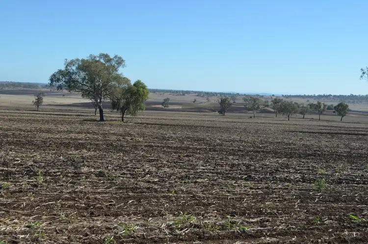 Fifth view of Homely rural property listing, 77 Hanrahan Road, Wellcamp QLD 4350
