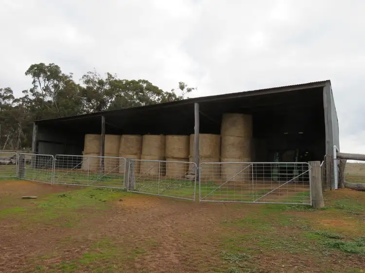 Sixth view of Homely rural property listing, 103 SARGENT ROAD, Kojonup WA 6395